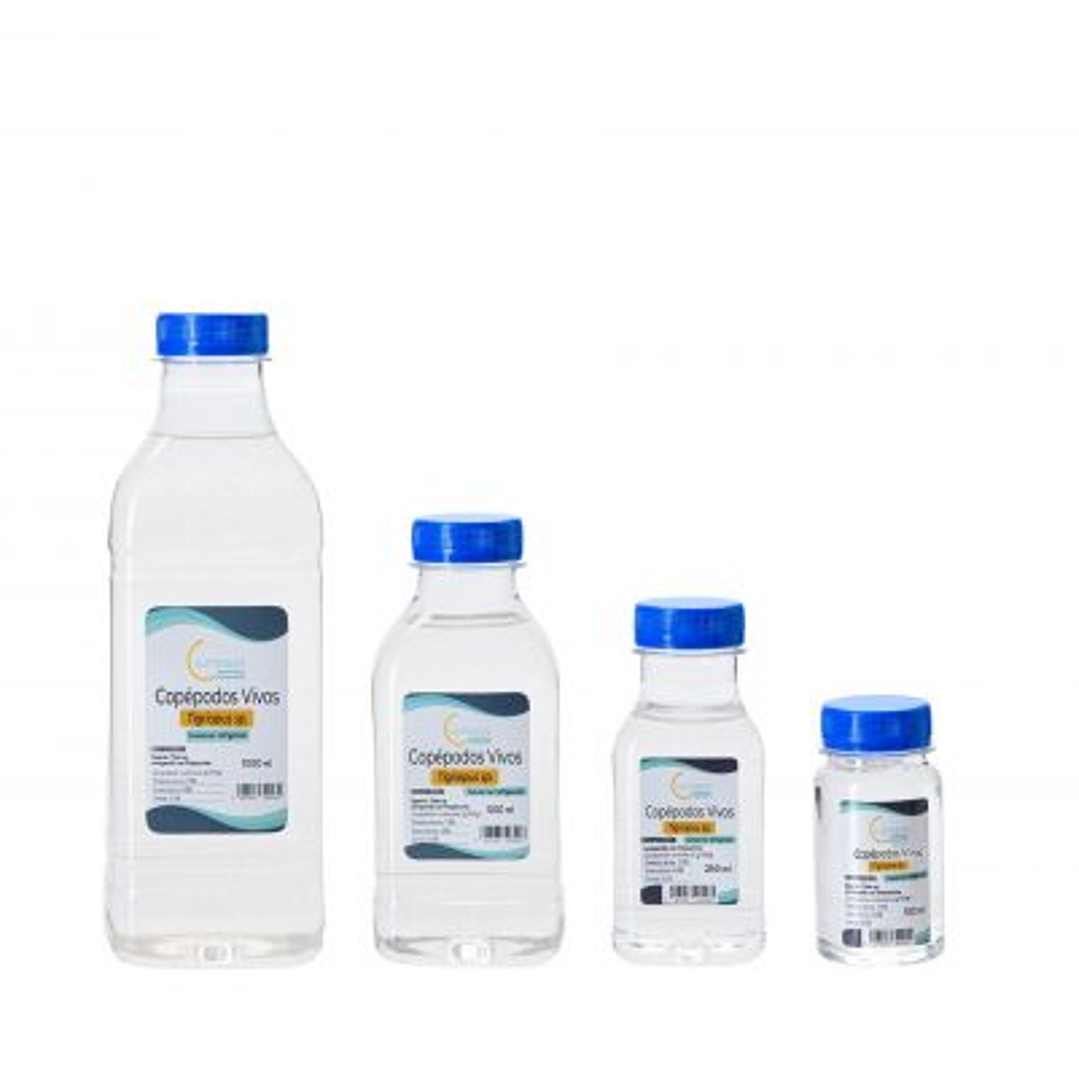  Copépodes Tigriopus 1