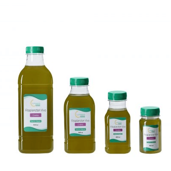  Corais fito planctônicos 1