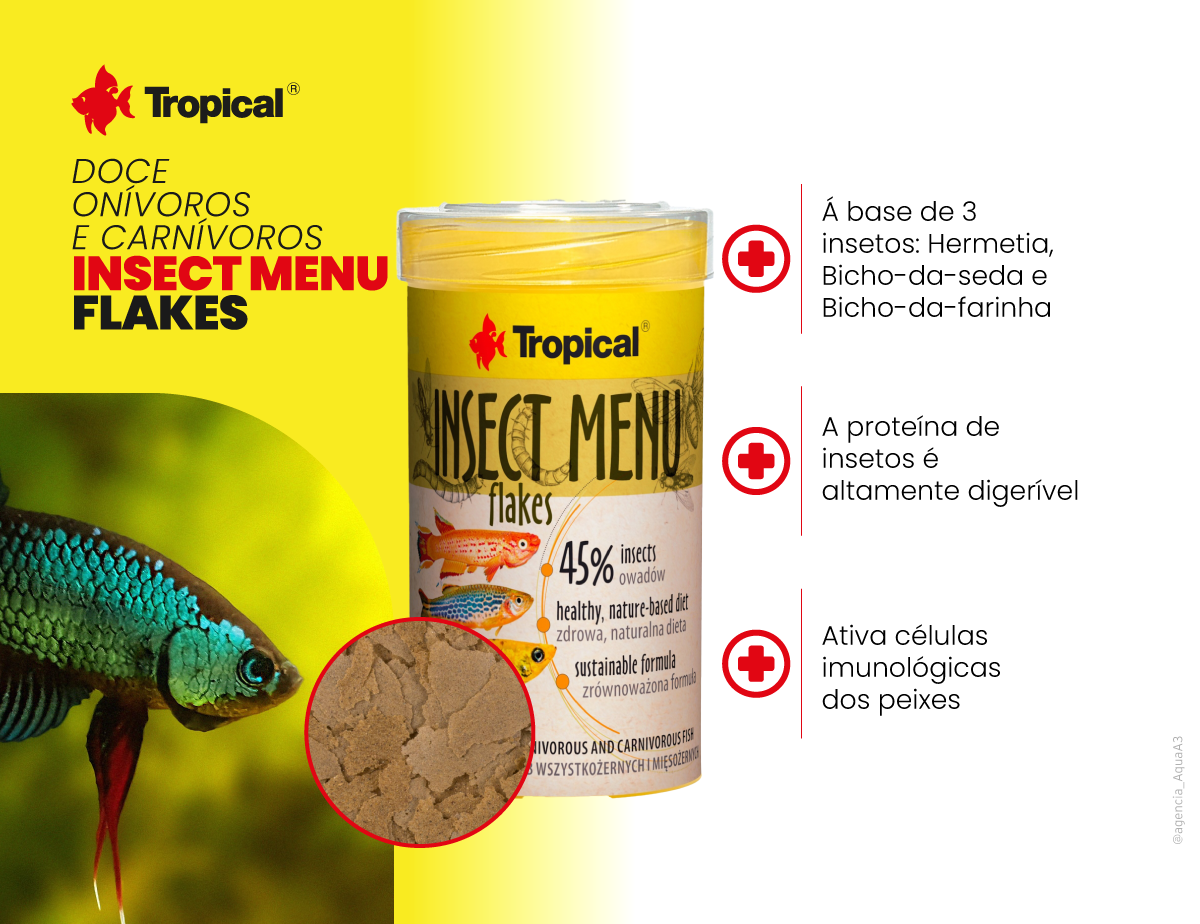 Different Insect Menu Insect Menu Flakes Tropical