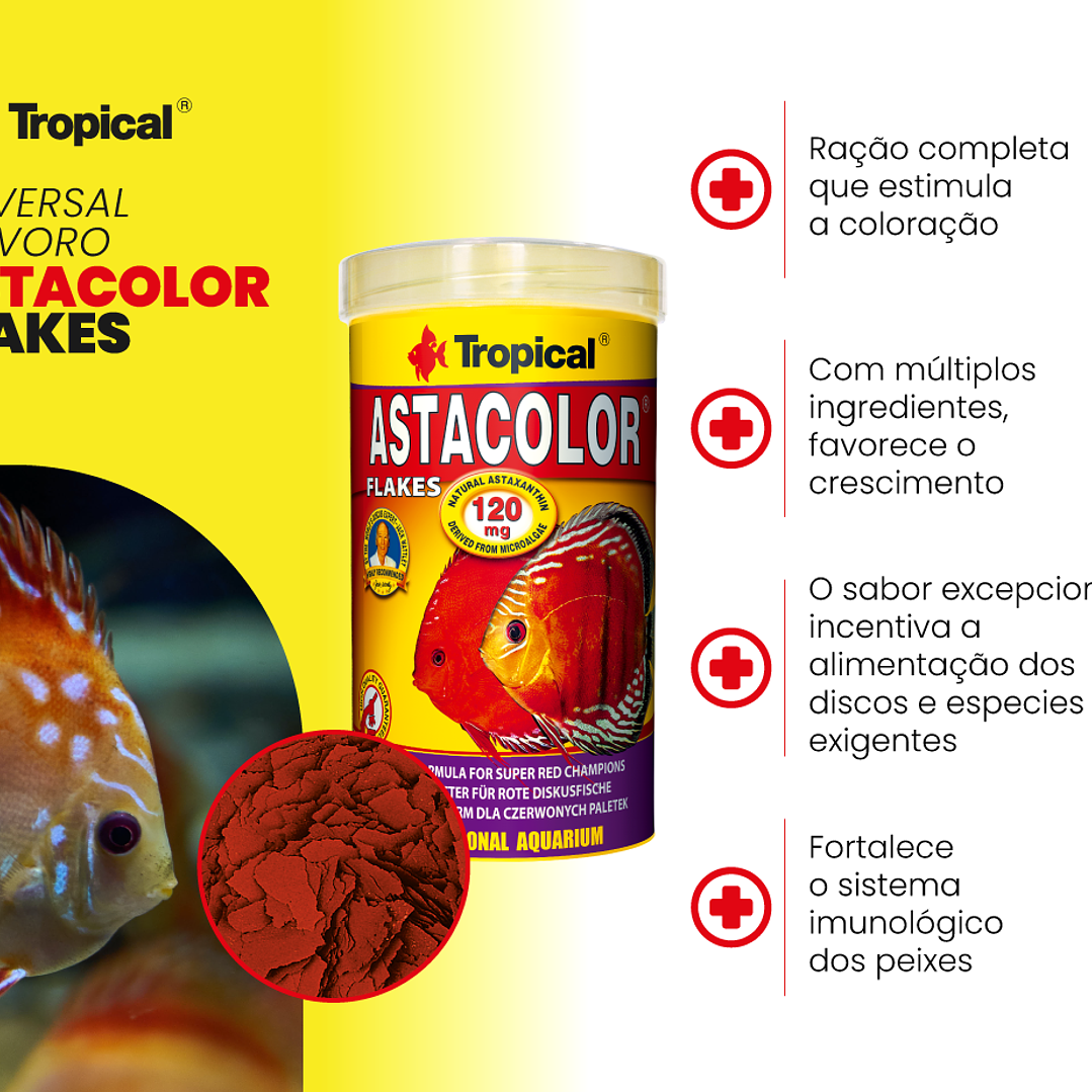 Astacolor 