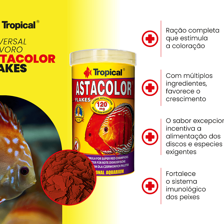 Astacolor 