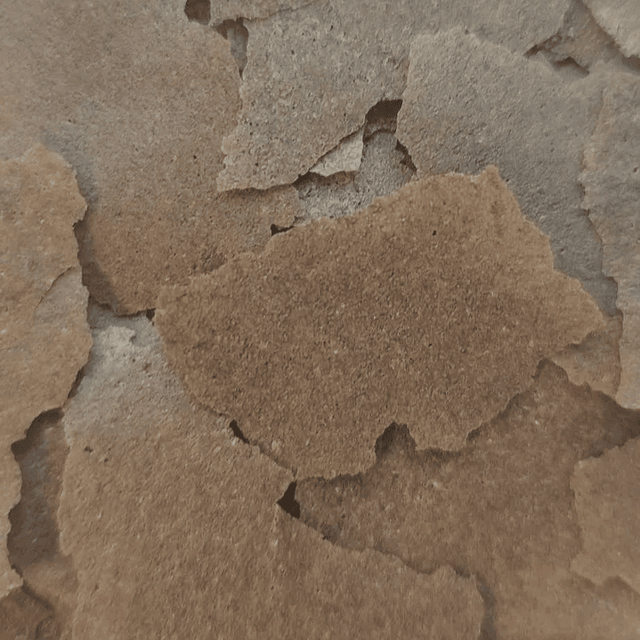 Flocos InsectPro - Ocean Nutrition 2