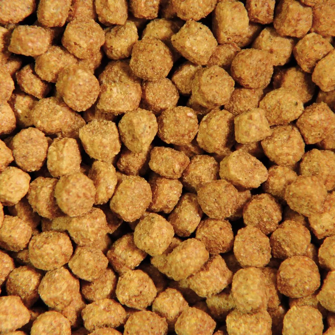 Koi Supreme Growth 5MM - 2KG 2