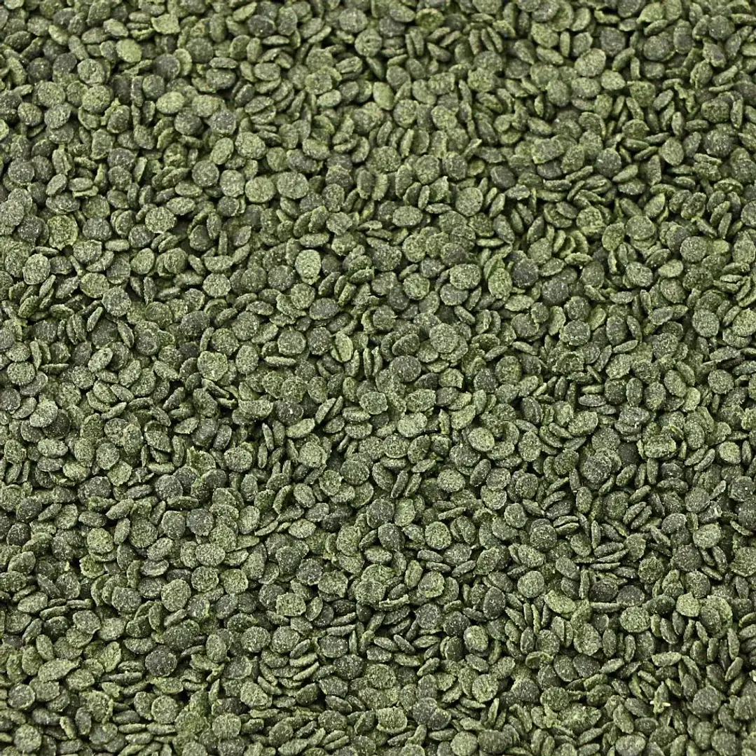 Shrimp Wafers - Ocean Nutrition 4