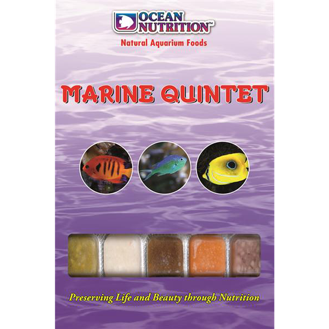 Quinteto Marinho - Ocean Nutrition 1