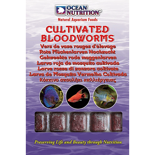 Bloodworms Cultivada - Ocean Nutrition 