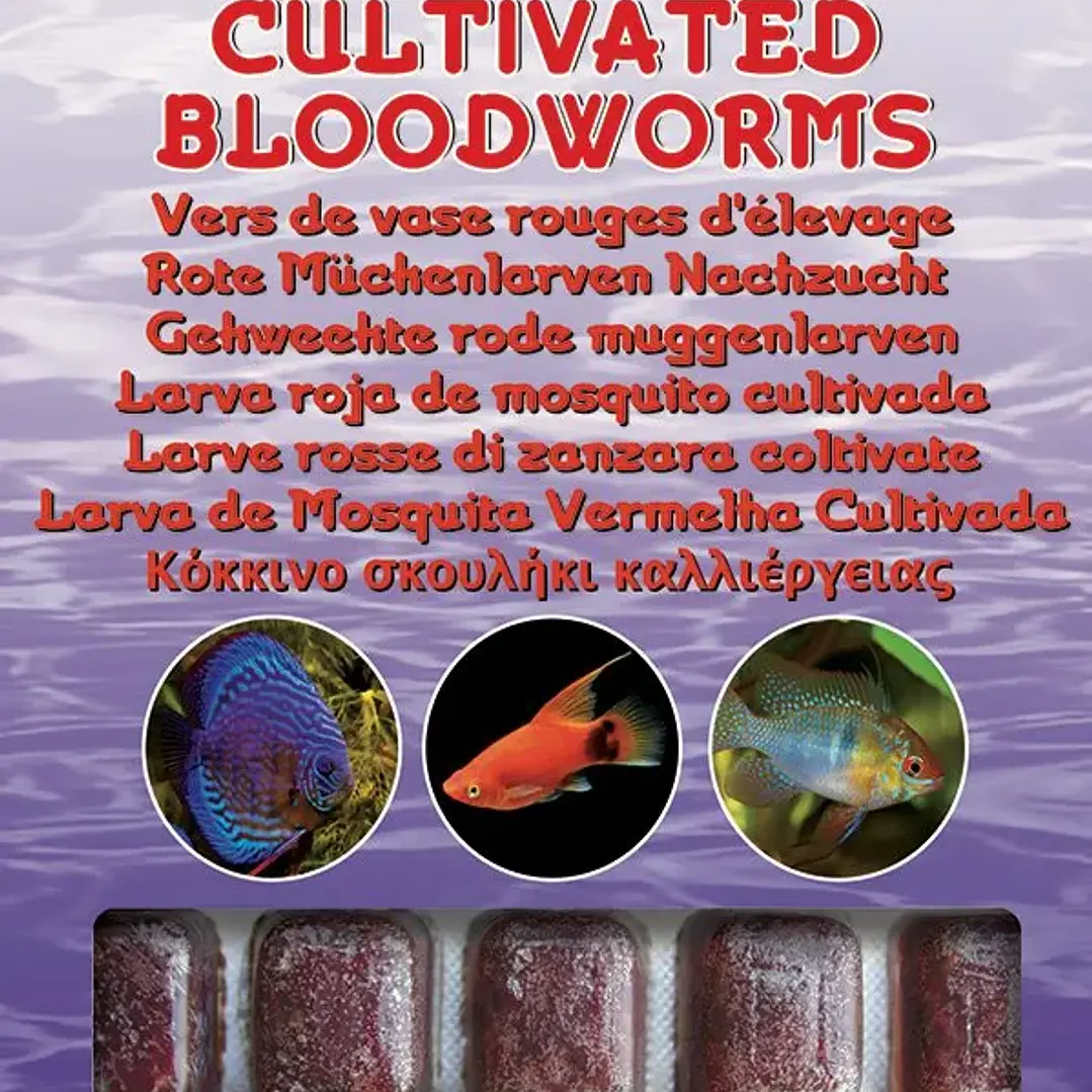Bloodworms Cultivada - Ocean Nutrition  1