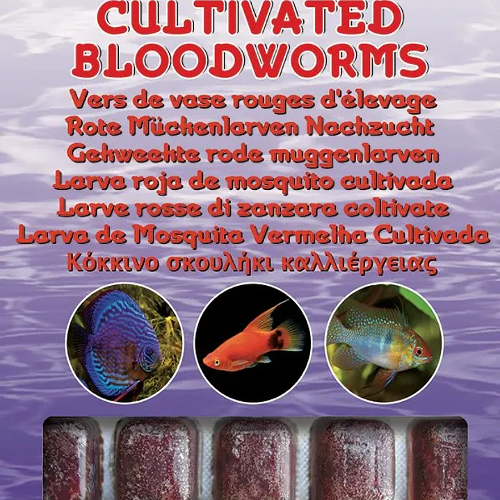 Bloodworms Cultivada - Ocean Nutrition  1