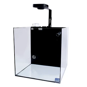 Next Wave 60 - Conjunto de Aquário