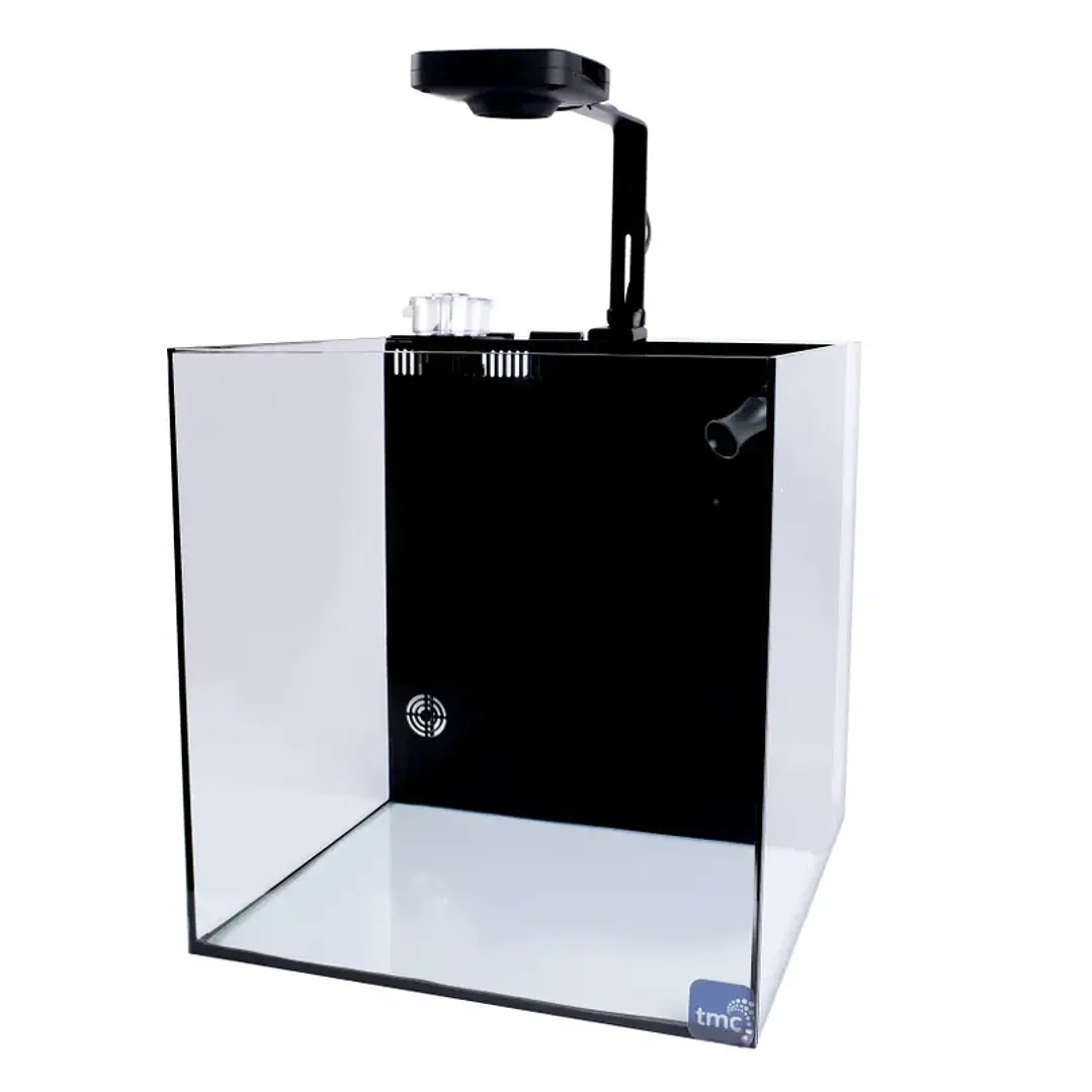 Next Wave 60 - Conjunto de Aquário 1