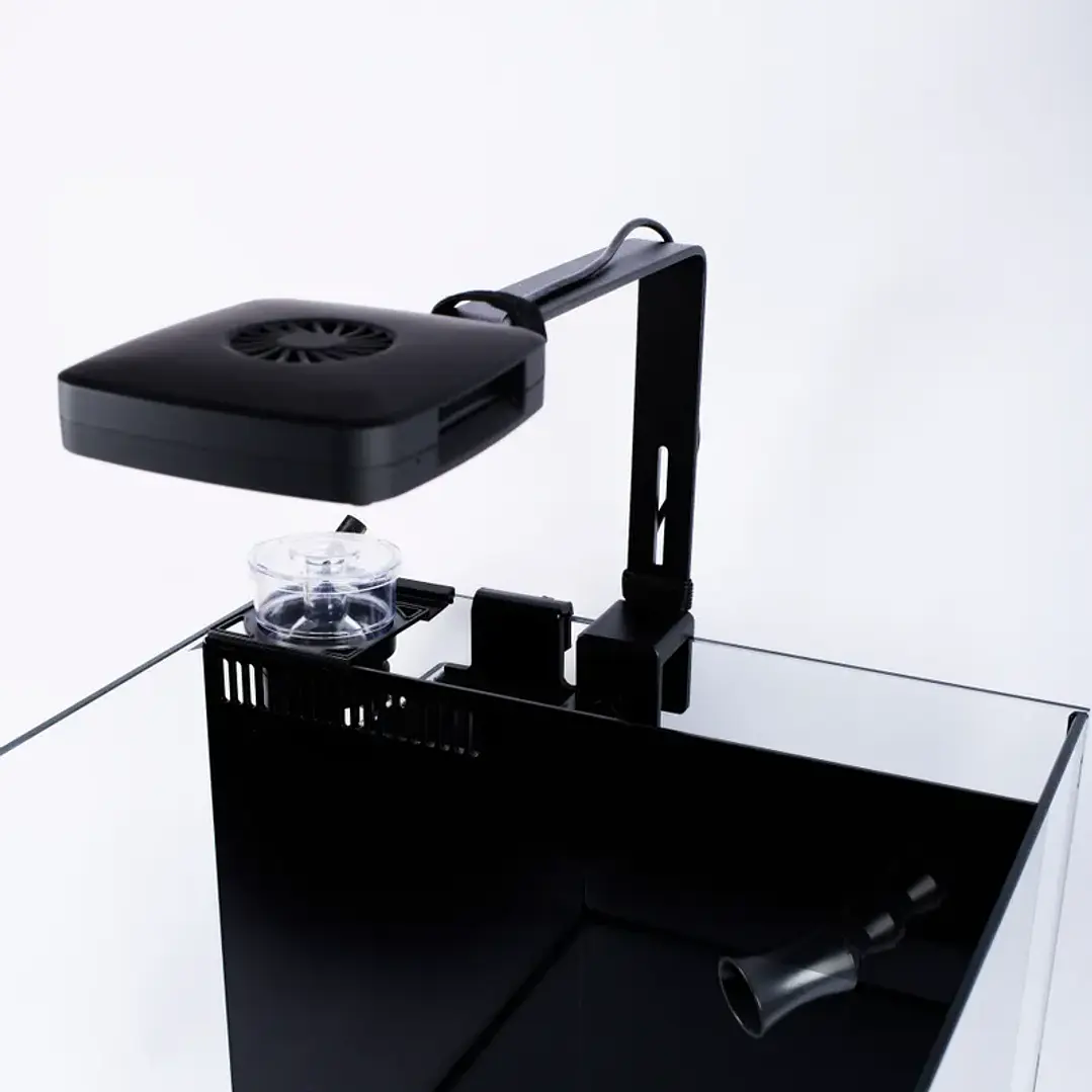 Next Wave 60 - Conjunto de Aquário 4