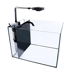 Next Wave 85 - Conjunto de Aquário