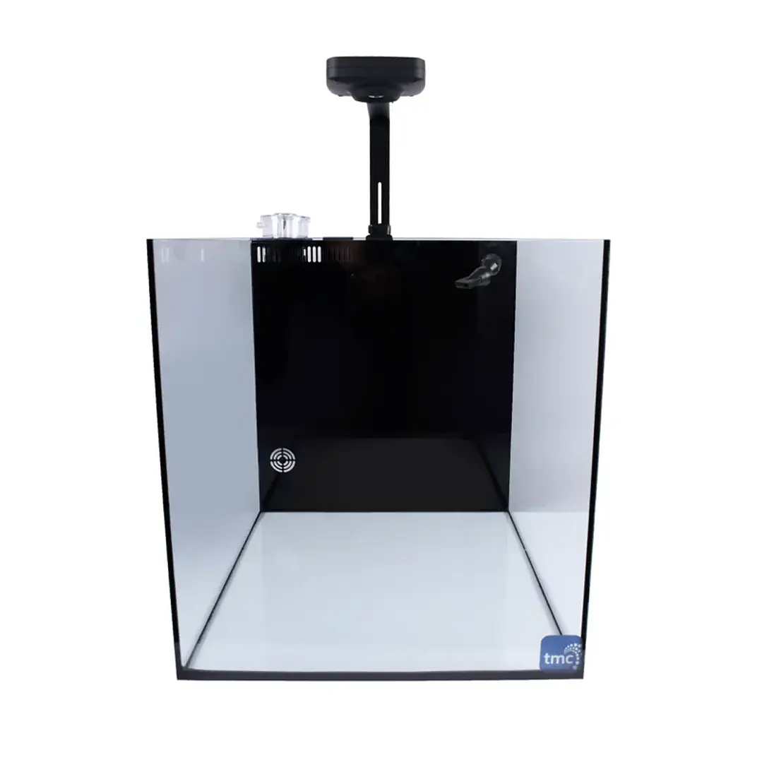 Next Wave 85 - Conjunto de Aquário 2