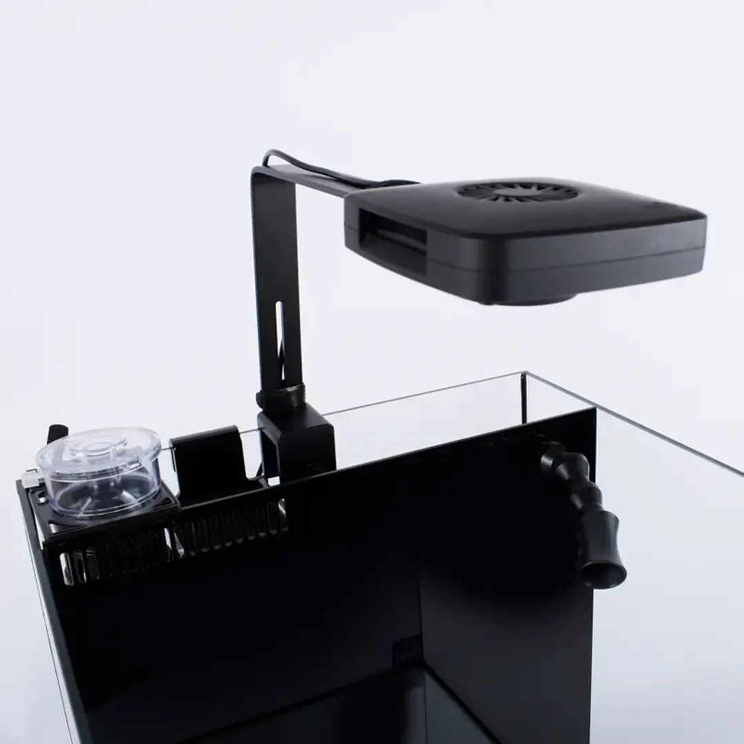 Next Wave 85 - Conjunto de Aquário 5