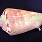 Strombus Luhanus - Thumbnail 4