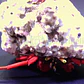 Paguristes Cadenati - Thumbnail 2