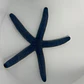 Linckia Laevigata - Thumbnail 2