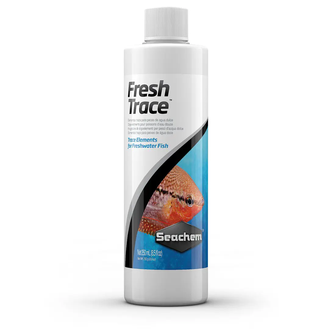 Fresh Trace  1