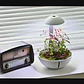 Chihiros Tiny Terrarium Egg - Thumbnail 2