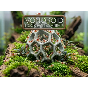Rocha Voronoi para Camarões