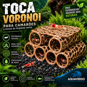 Toca Voronoi para Camarões com Plataforma para Musgo – 6 Covas