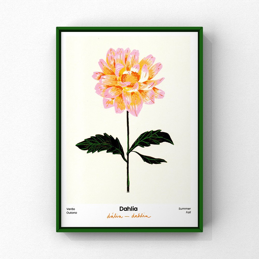 dahlia