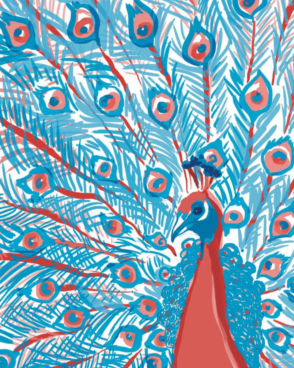 Peacock 1