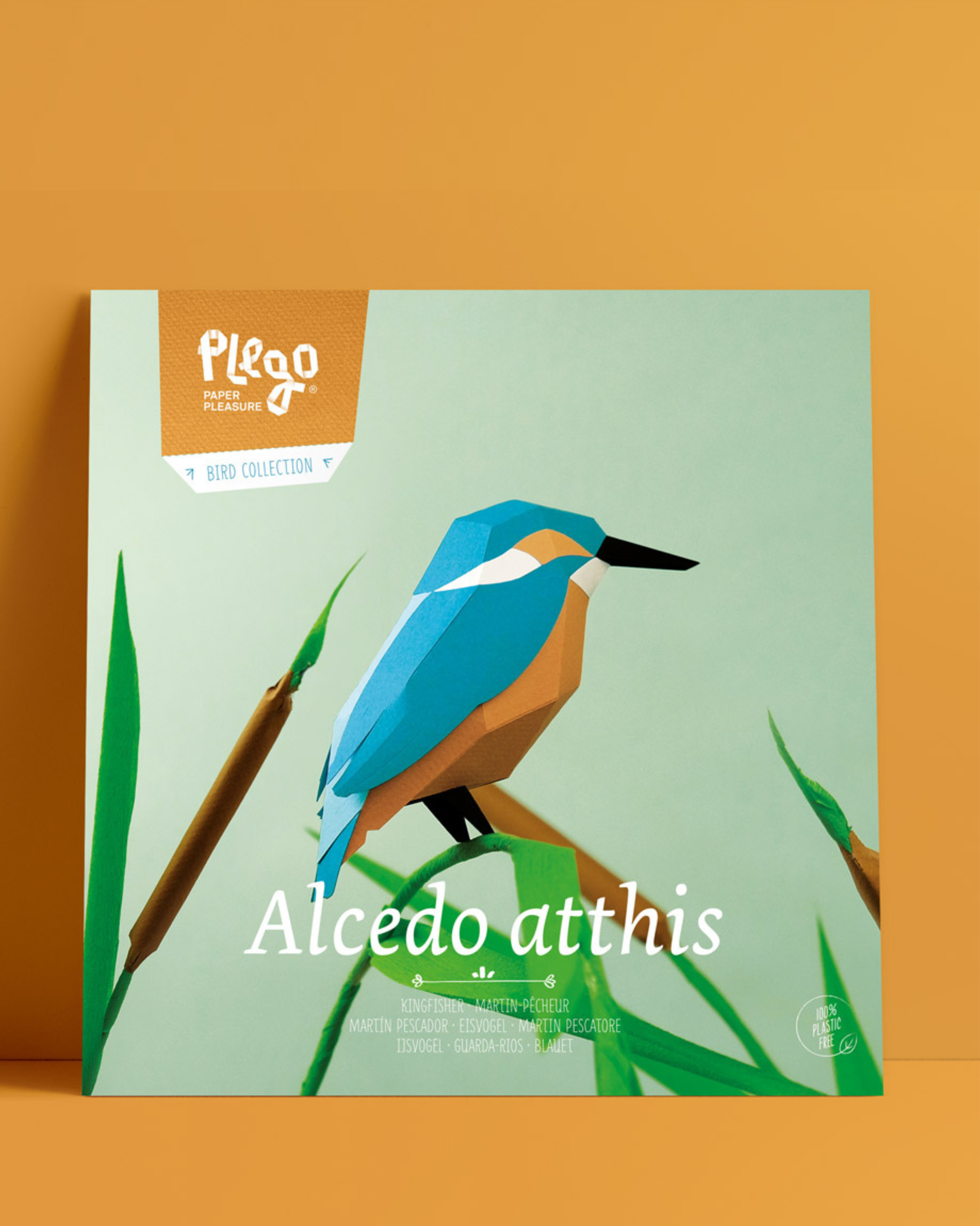 Alcedo Atthis  1