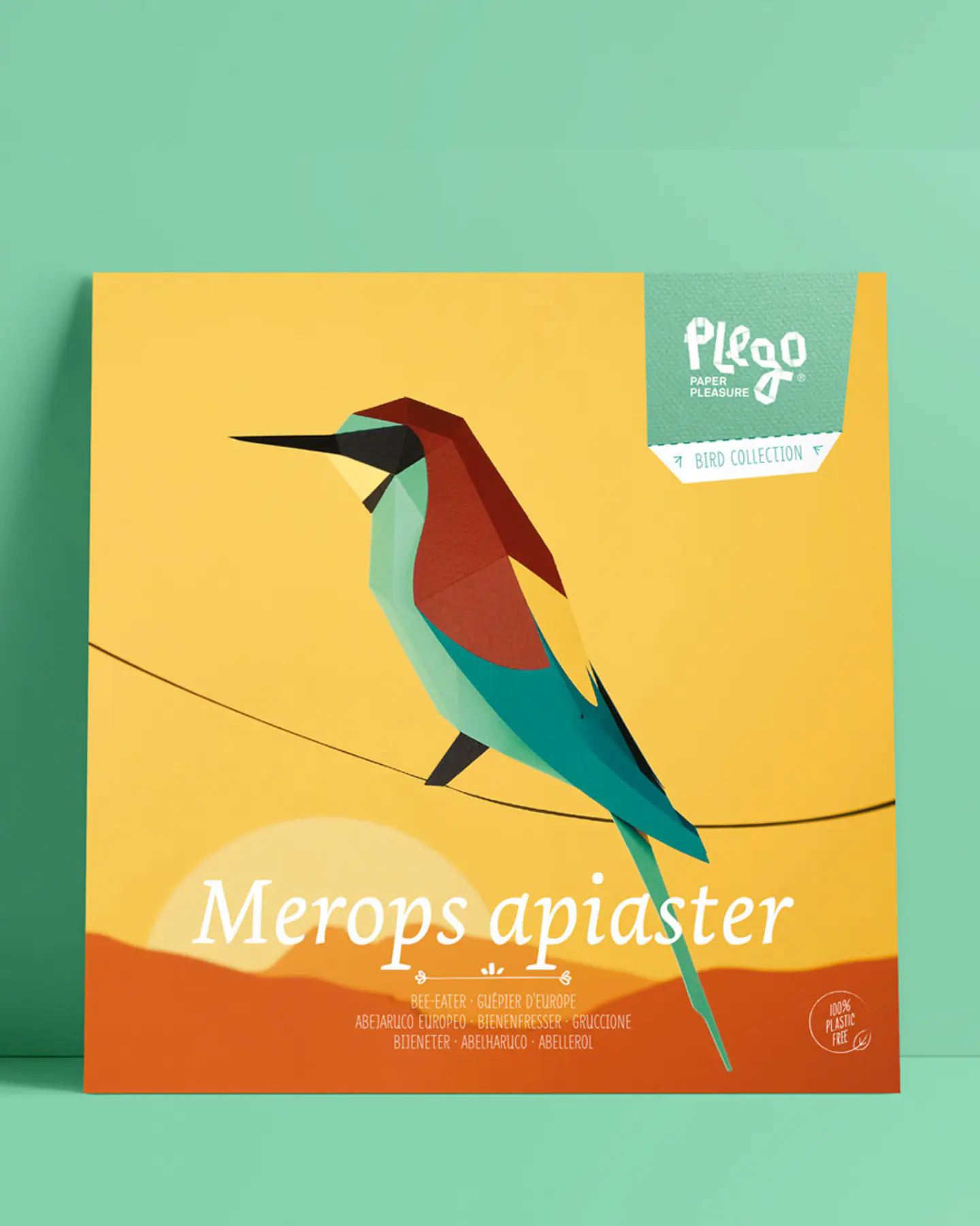 Merops Apiaster 1