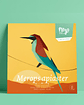 Merops Apiaster - Thumbnail 1