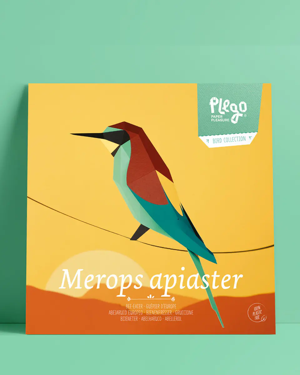 Merops Apiaster 1