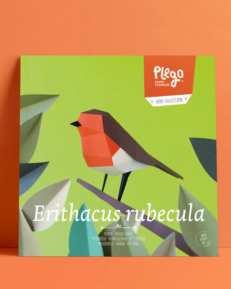 erithacus rubecula 1