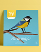 parus major - Thumbnail 1