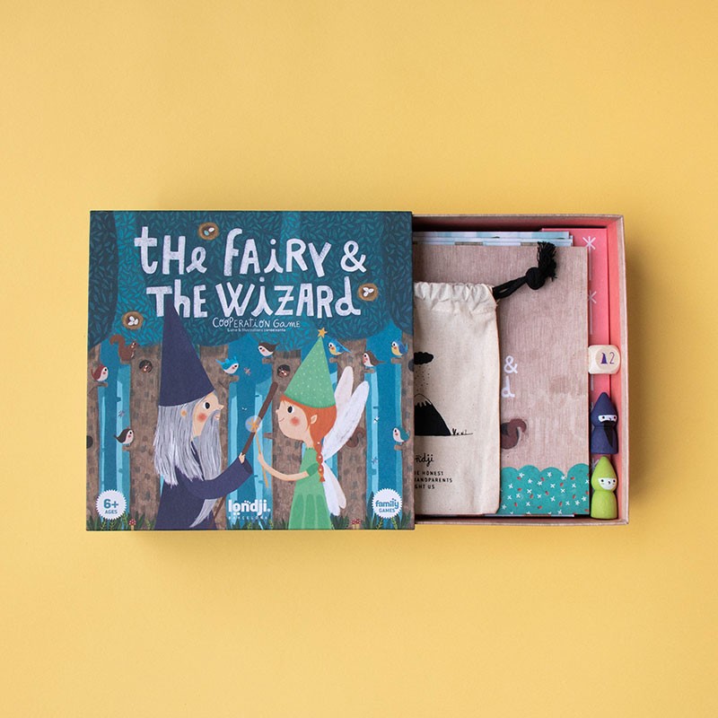 fairy and the wizard  2
