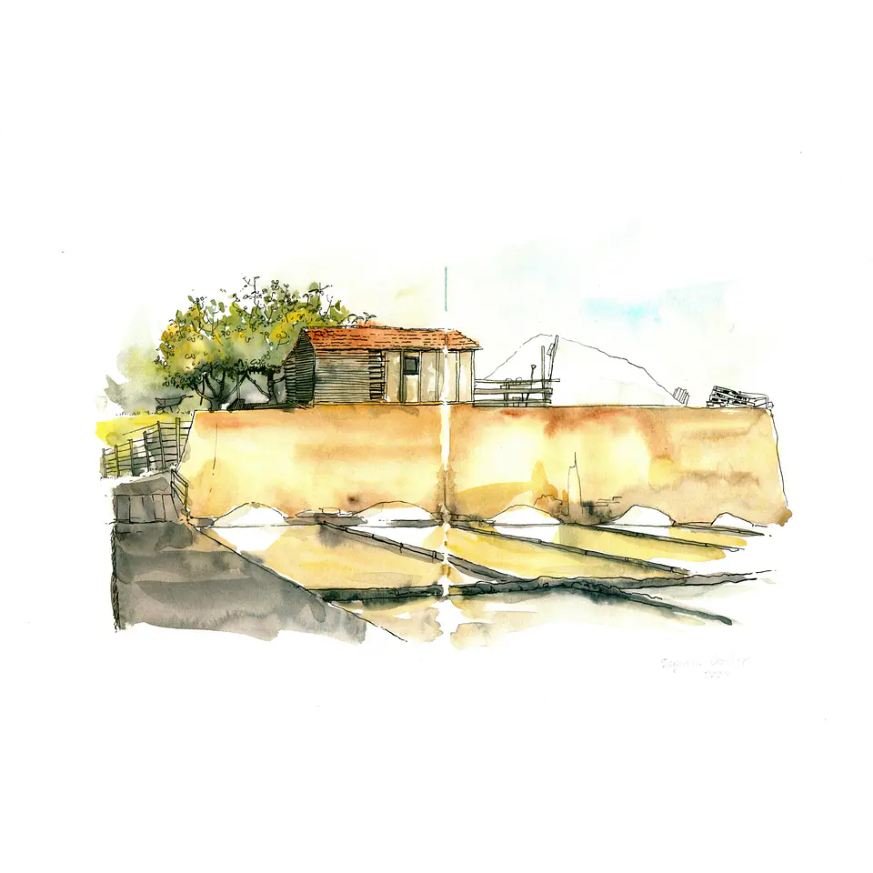 Salina  1