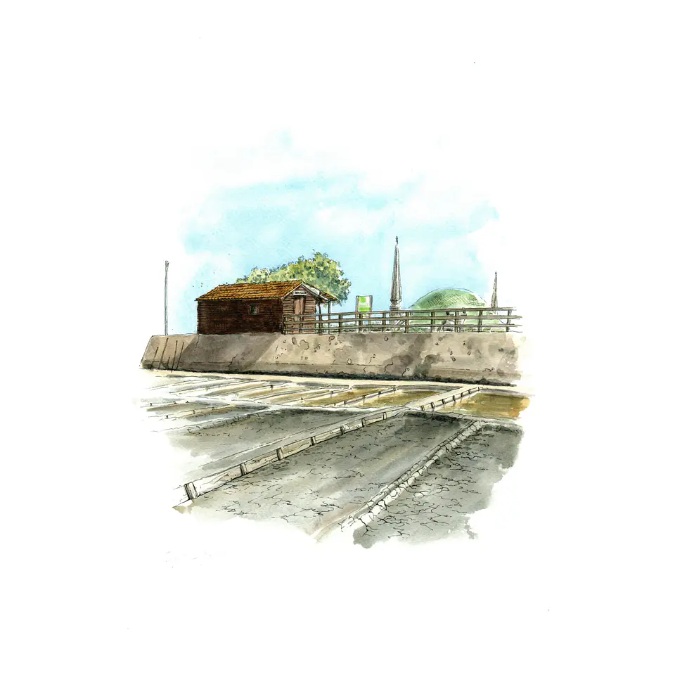 Salina II 1