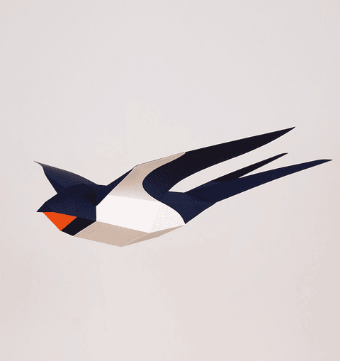 Andorinha - Hirundo Rustica 