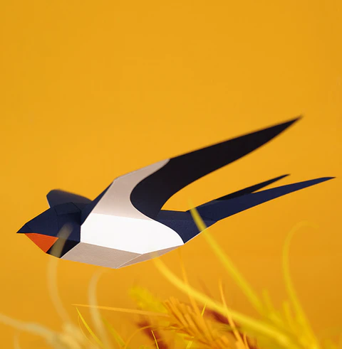 Andorinha - Hirundo Rustica 