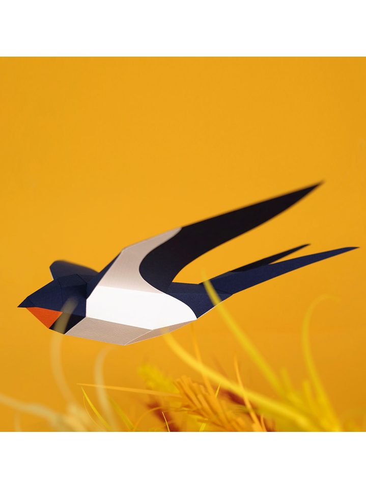 Andorinha - Hirundo Rustica  2