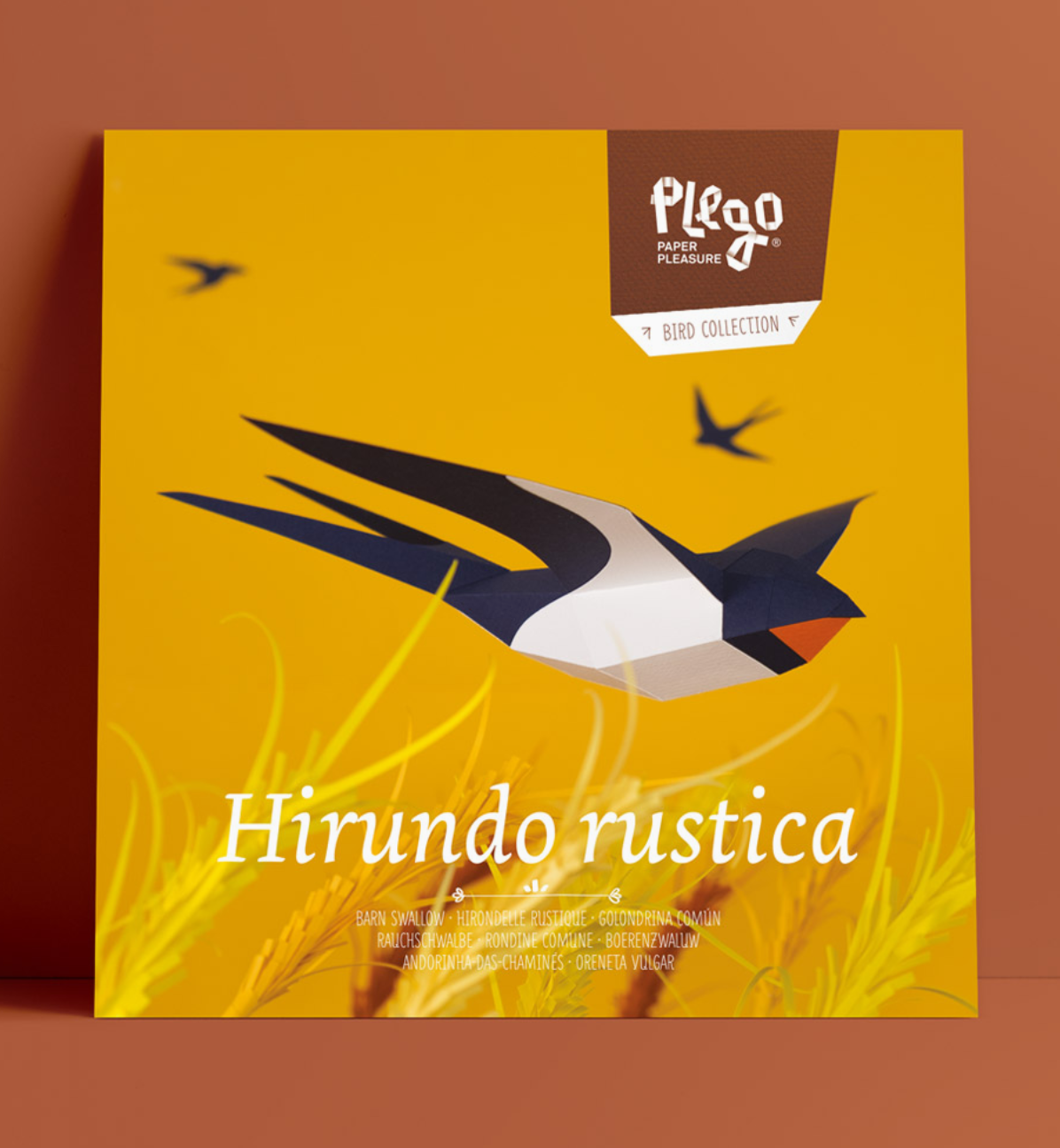 Andorinha - Hirundo Rustica  3