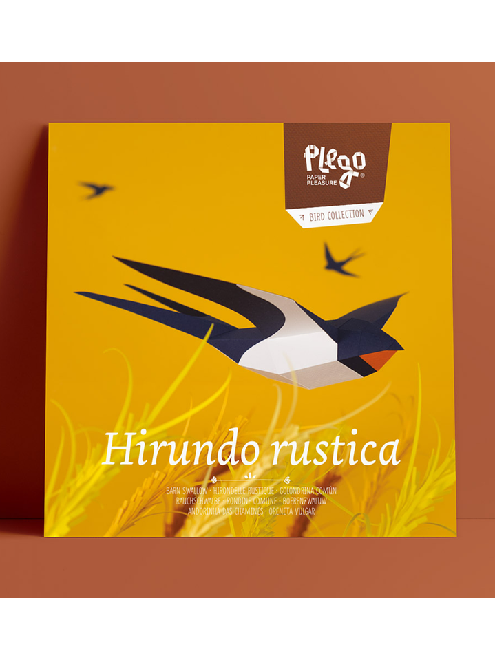 Andorinha - Hirundo Rustica  3