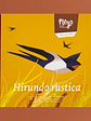 Andorinha - Hirundo Rustica  - thumbnail 3