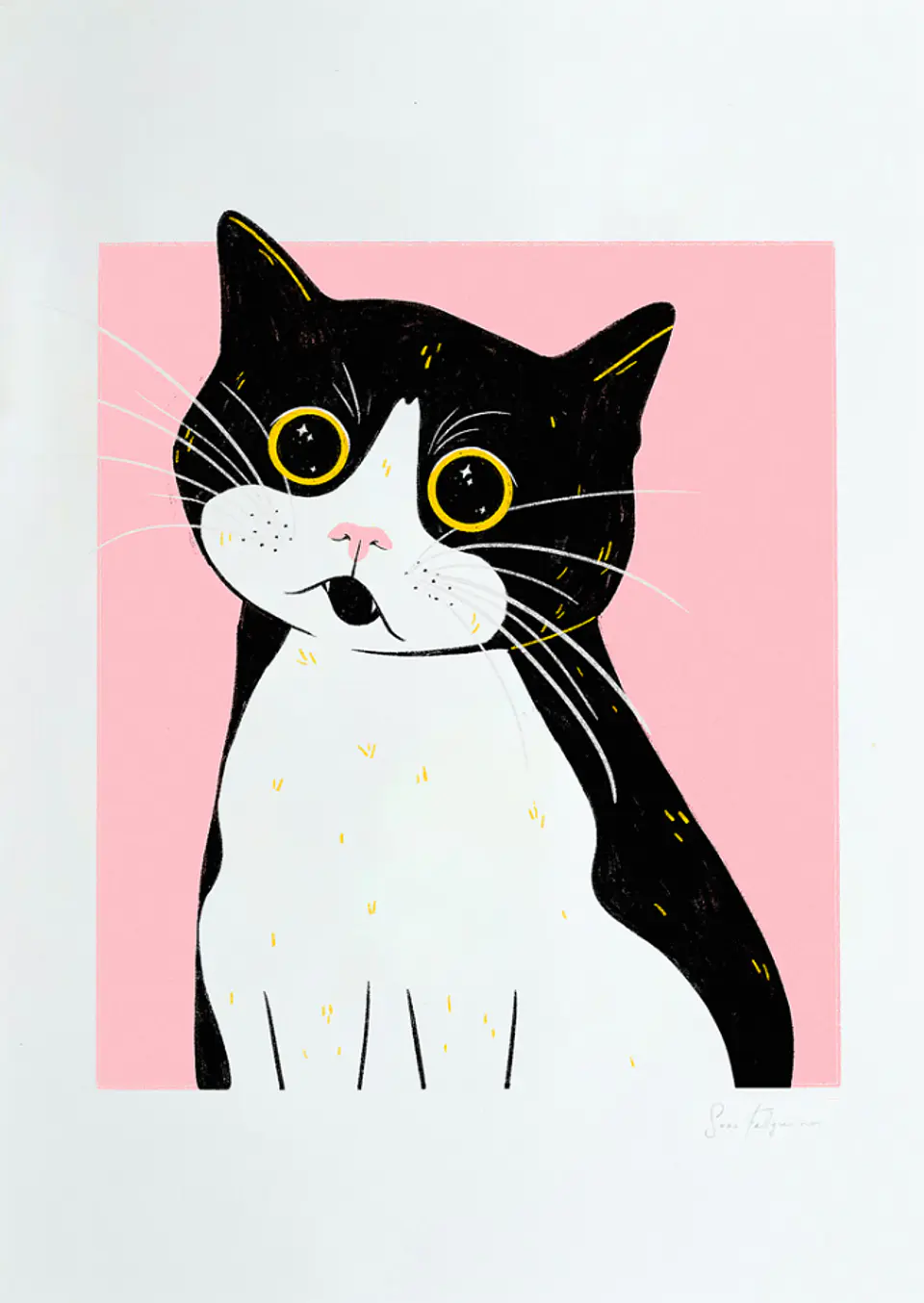 Impressed Cat 1