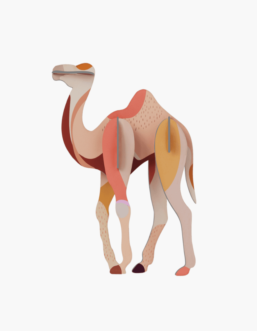 Camel  1