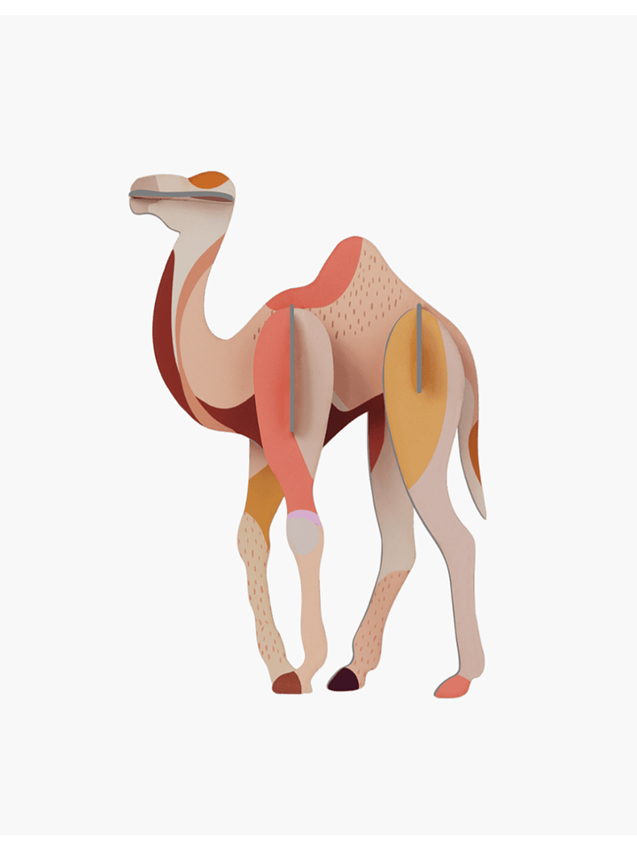 Camel  1
