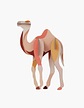 Camel  - thumbnail 1