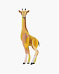 Giraffe - Thumbnail 1
