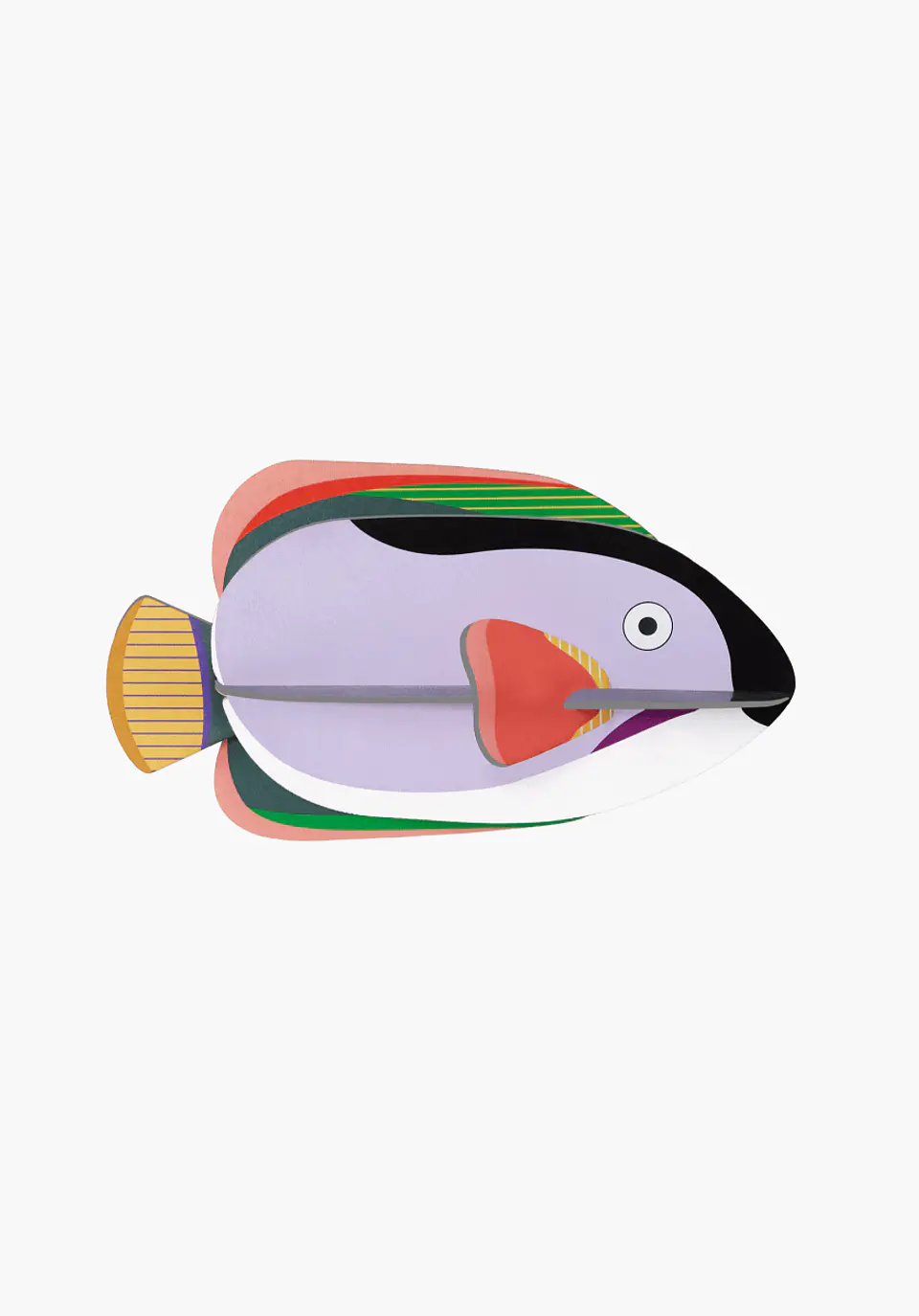 King AngelFish 1