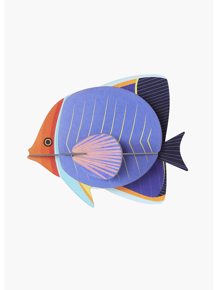 ButterflyFish 1