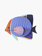 ButterflyFish - Thumbnail 1